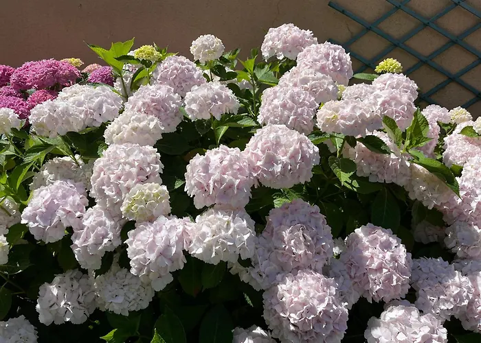 Catherine & Dominique * Marigne-Laille