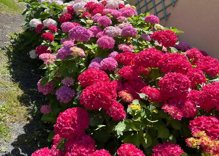 Frühstückspension Catherine & Dominique Marigne-Laille