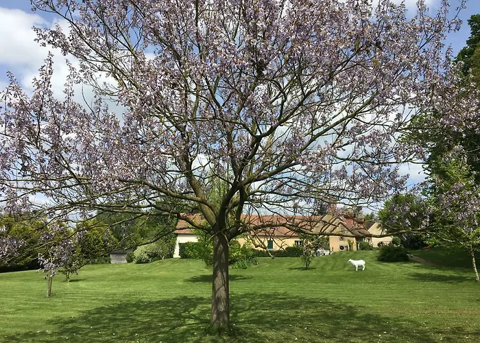 Catherine & Dominique